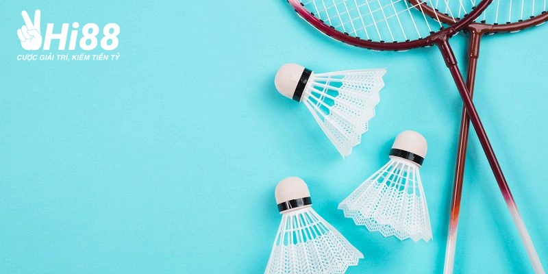 ca cuoc cau long tai hi88 co gi thu hut