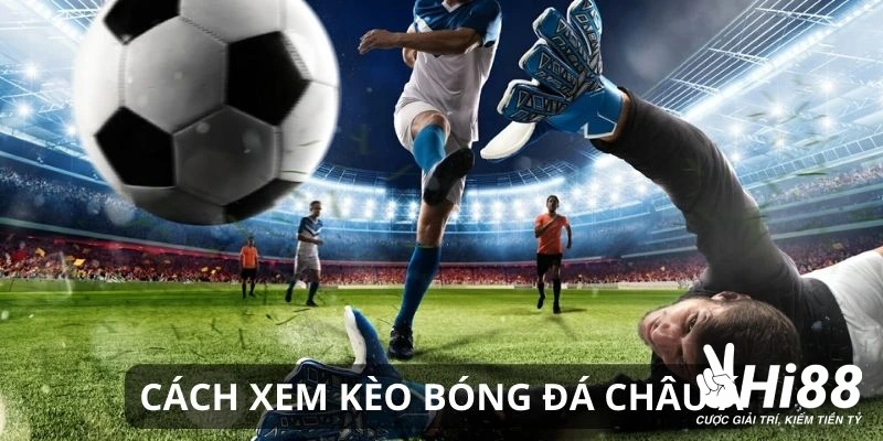 keo chau a mot so ty le cuoc pho bien ve cuoc chau a